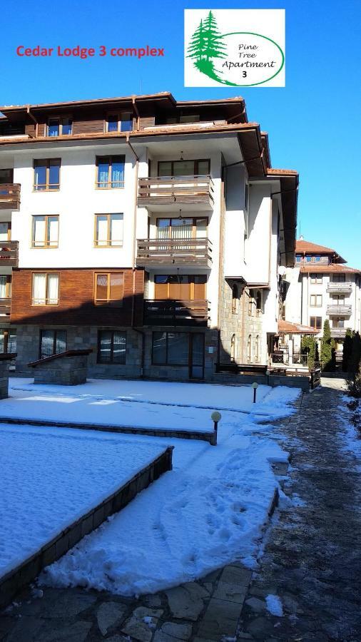Pine Tree Apartment 3 - B3 Bansko Eksteriør bilde