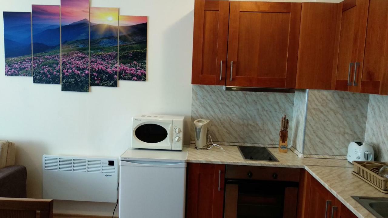 Pine Tree Apartment 3 - B3 Bansko Eksteriør bilde