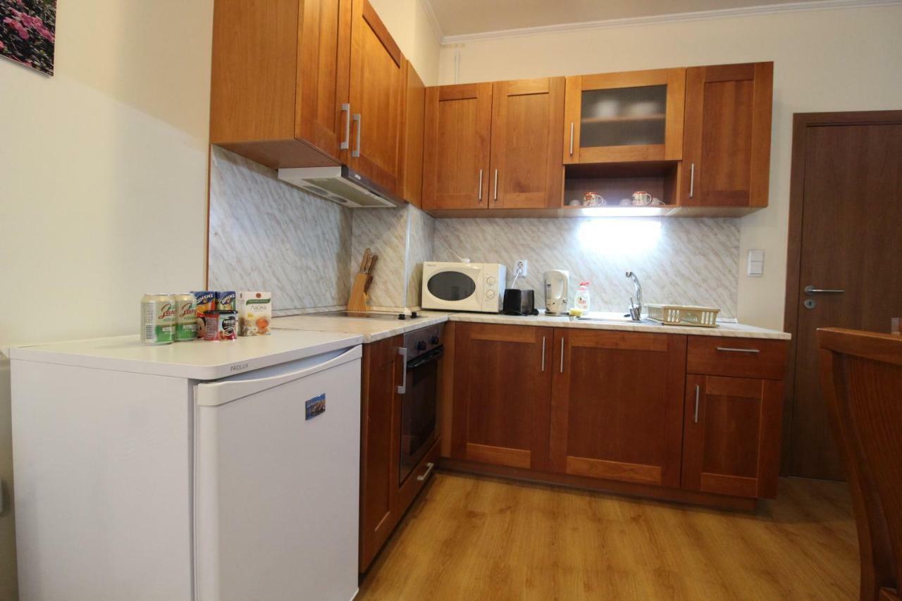 Pine Tree Apartment 3 - B3 Bansko Eksteriør bilde